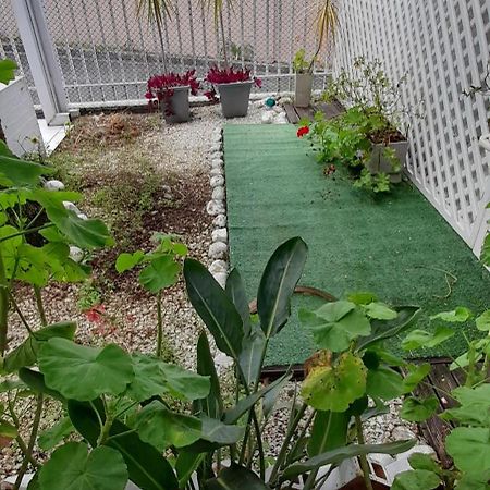 Вилла Casa Inteira 2 Dorm Minimo 3 Dias Куритиба Экстерьер фото